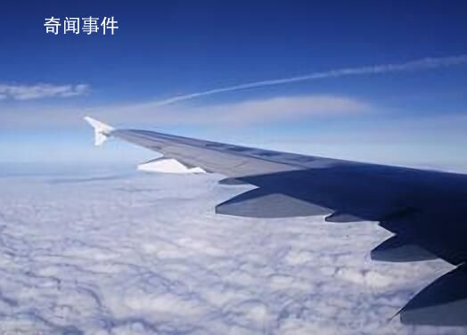 飛機延誤6小時發現金 乘客:消氣了