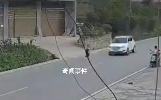 小孩兒童節(jié)被撞身亡被判與司機(jī)同責(zé) 事發(fā)路段限速20肇事車輛車速在73-81碼