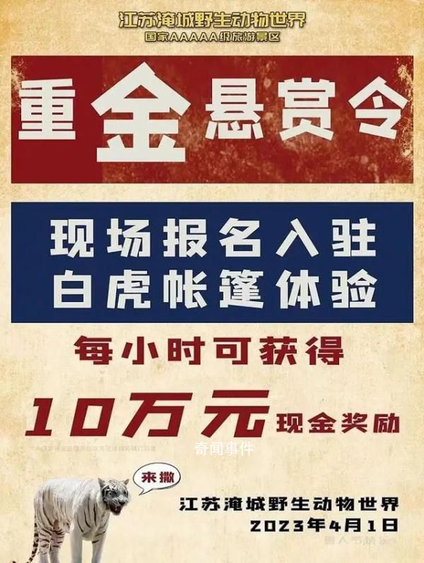 重金懸賞與虎同住的動物園被罰 被常州市武進區市場監督管理局罰款25萬元