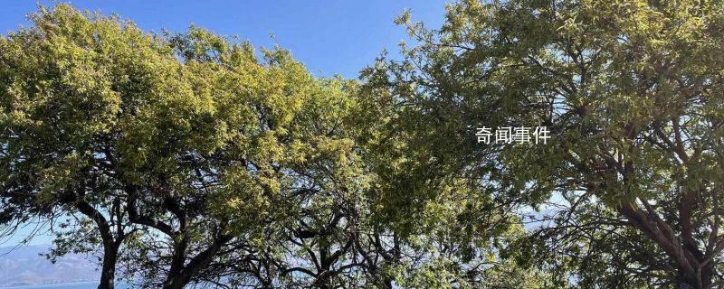 宜春有什么好玩的地方 宜春景點(diǎn)有哪些推薦