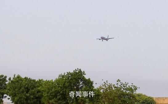 法國宣布從尼日爾撤僑 飛機(jī)上載有262人