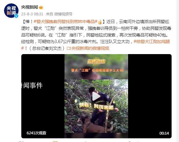 警犬強(qiáng)拽著民警找到密林中毒品 給警犬江勛加雞腿