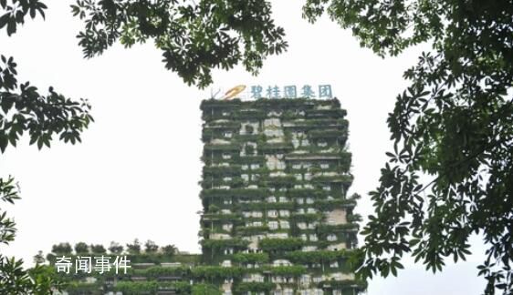 房企碧桂園提出四大自救措施 承諾將堅守責(zé)任