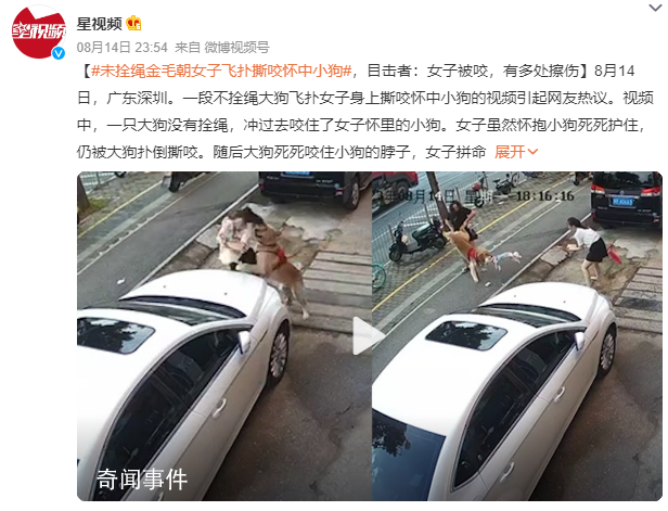 金毛未拴繩撲倒女子撕咬懷中小狗 視頻引起網(wǎng)友熱議