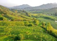 萬里河山如此多彩 8月15日首個全國生態(tài)日