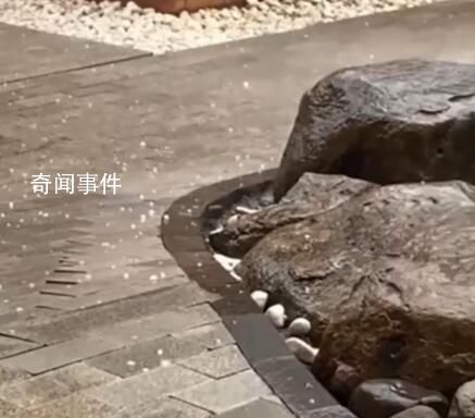 杭州突降冰雹 網友:開眼了