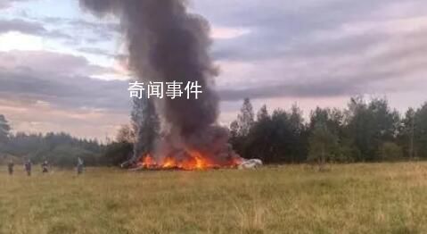 俄飛機墜毀是意外還是有預謀行動?
