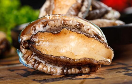 日本鮑魚已降價(jià)30% 主要市場相繼限制日本水產(chǎn)進(jìn)口