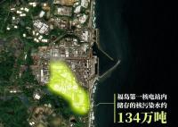 日本水產廳檢測魚類樣本僅2條 多個領域都出現了連鎖反應