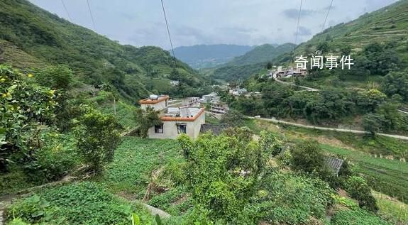小伙陷電詐染登革熱 回國(guó)后精神失常