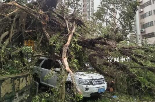 臺風破壞力太大會被除名 嚴重的臺風為什么要除名
