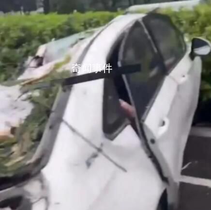 深圳臺(tái)風(fēng)吹倒樹(shù)砸中車(chē)輛致1死2傷 救援人員趕到時(shí)車(chē)內(nèi)2名女性受傷被救出