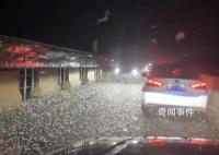 河南信陽一大橋夜晚出現(xiàn)不明飛蟲 引發(fā)了網友們的驚奇和關注