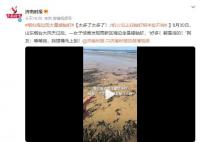 煙臺海邊現(xiàn)大量螻蛄蝦 網友：太多了太多了