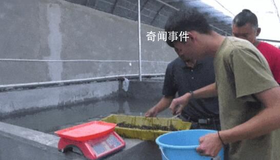 新疆“海鮮”大豐收了 網(wǎng)友：新疆產(chǎn)的海鮮是不是應該叫新鮮