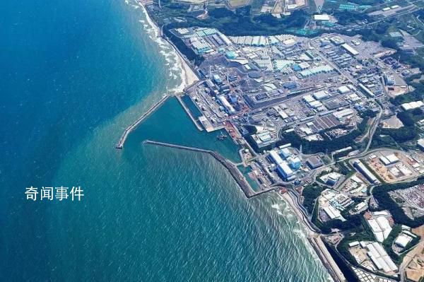 日本稱為應對中國禁令已砸千億日元 已申請與中方商談