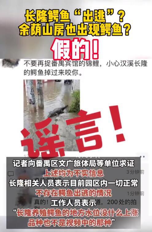 廣州長(zhǎng)隆鱷魚出逃?官方辟謠
