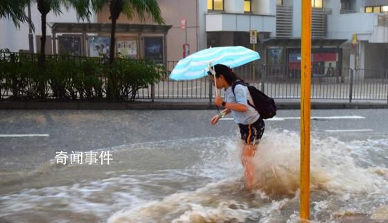 香港暴雨豬場上百頭豬被沖走 全港多個地區發生水浸