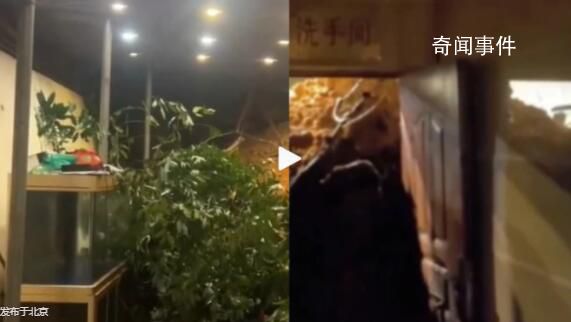 深圳男子上廁所遇滑坡衛(wèi)生間門(mén)被沖開(kāi) 現(xiàn)場(chǎng)已處置完畢無(wú)人員傷亡