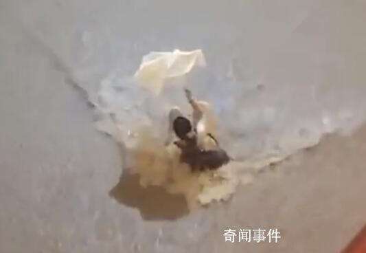 香港發(fā)黑色暴雨信號(hào) 有市民遇險(xiǎn)