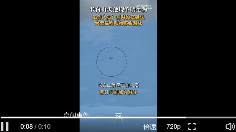 目擊者回應(yīng)長白山天池現(xiàn)神秘生物 暫時(shí)沒法確認(rèn)