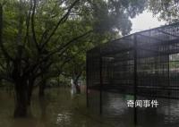 暴雨后的動物園:猛獸顯得暴躁