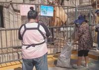 遼寧一動物園斷糧市民自發(fā)投喂 園內(nèi)存糧不多希望得到幫助