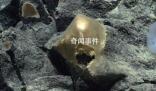 美國(guó)科學(xué)家在海底發(fā)現(xiàn)神秘金蛋 疑為未知生物所產(chǎn)