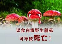 野蘑菇中毒多久有反應 具體發作時間與蘑菇毒性程度有關