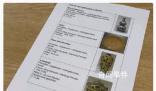 德國博物館中國明清時代瓷器被盜 價值超過100萬歐元