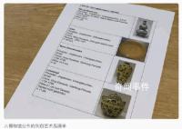 德國博物館中國明清時代瓷器被盜 價值超過100萬歐元