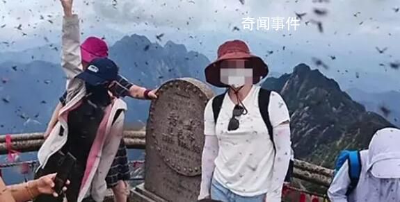 黃山景區(qū)回應(yīng)“飛蟲沖臉” 多到眼睛都睜不開