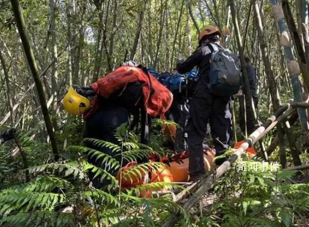 臺灣一登山團遭蜂群攻擊2死9傷 實在是太可怕了