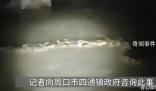 官方辟謠“河中發現巨型長蟲” 引起了很多人的關注
