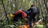 臺(tái)灣一登山團(tuán)遭蜂群攻擊2死9傷 實(shí)在是太可怕了