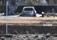 毛伊島大火死亡人數降至97人 確認失蹤人數目前為31人