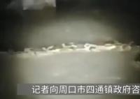 官方辟謠“河中發現巨型長蟲” 引起了很多人的關注