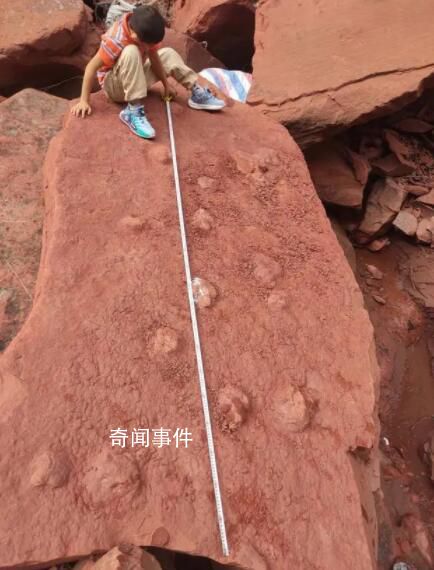 男孩河床邊玩耍發現恐龍腳印 專家：其中一組蜥腳類恐龍幻跡現世罕見