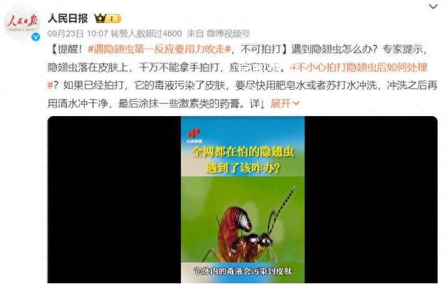 遇隱翅蟲第一反應(yīng)要用力吹走 隱翅蟲號稱飛行的硫酸