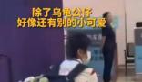背了一堆小烏龜?shù)娜t嬋相當(dāng)顯眼 引了眾多媒體和粉絲的目光