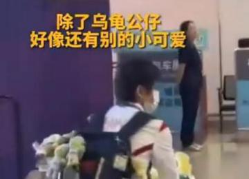 背了一堆小烏龜?shù)娜t嬋相當(dāng)顯眼 引了眾多媒體和粉絲的目光