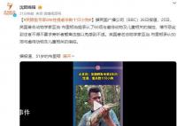 英國鱷魚專家性侵數(shù)十只小狗 法官警告繼續(xù)聽取指控可能引起強烈不適