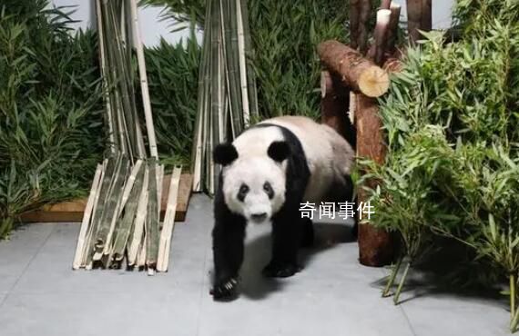 莫斯科行動(dòng)文詠珊曝復(fù)古造型秘訣