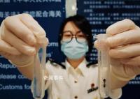 女子水果里藏49只昆蟲入境被查 已按規(guī)定被依法銷毀
