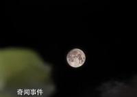 各地網(wǎng)友曬明月堪比攝影大賽 上演了超級(jí)月亮