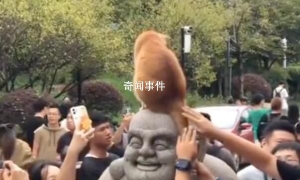 發現了雞鳴寺的頂流 吸引了大量游客圍觀和爭相合影