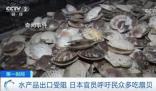日官員呼吁民眾每人多吃5只扇貝 第一輪排海已經(jīng)給日本水產(chǎn)品出口帶來巨大負(fù)面影響