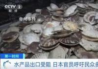 日官員呼吁民眾每人多吃5只扇貝 第一輪排海已經(jīng)給日本水產(chǎn)品出口帶來(lái)巨大負(fù)面影響