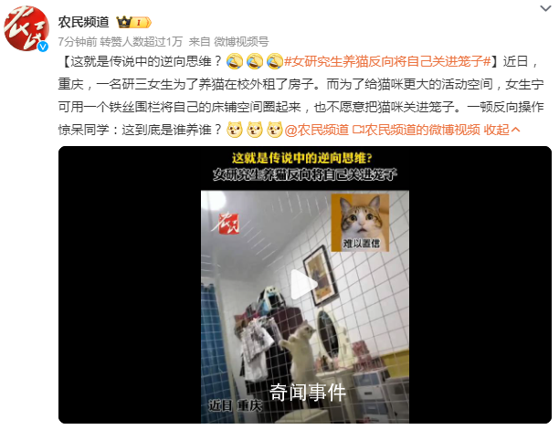 女研究生養貓反向將自己關進籠子 這到底是誰養誰