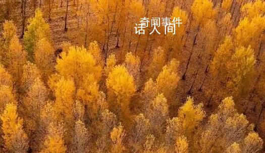用中國(guó)傳統(tǒng)色打開秋天 一起感受多彩秋日下的大美中國(guó)
